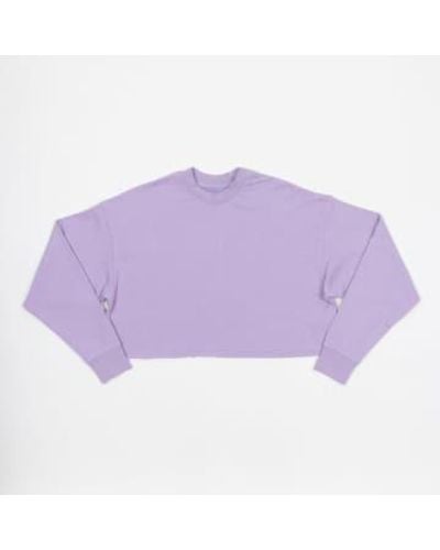 JJXX Womens Caia Cropped Sweatshirt In Lilac - Viola