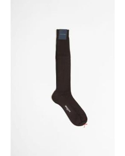Bresciani /cotton Blend Long Socks Caffe/blue M - Black