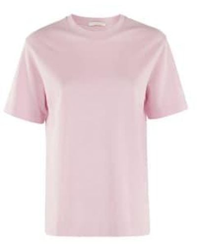 Circolo 1901 Fard Jersey Cotton T Shirt Cn4300 - Rosa