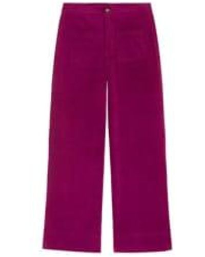 Suncoo Jio Pants T3(12-14) - Purple