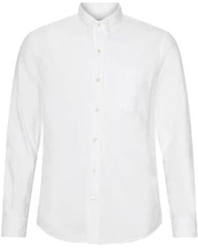 COLORFUL STANDARD Camisa oxford algodón orgánico blanco óptico