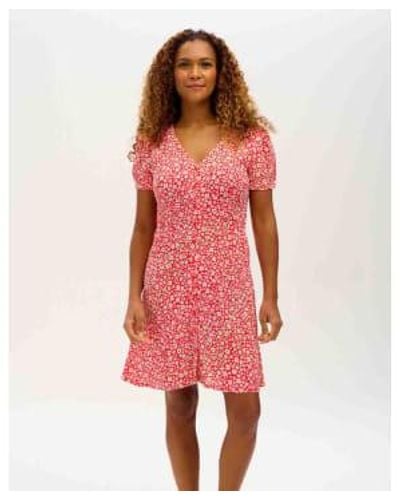 Lilac Rose Lilac Sugarhill Gail Dress In Red Rainbow Daisies - Rosso