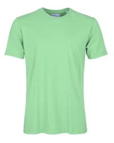 COLORFUL STANDARD Camiseta clásica fad - Verde
