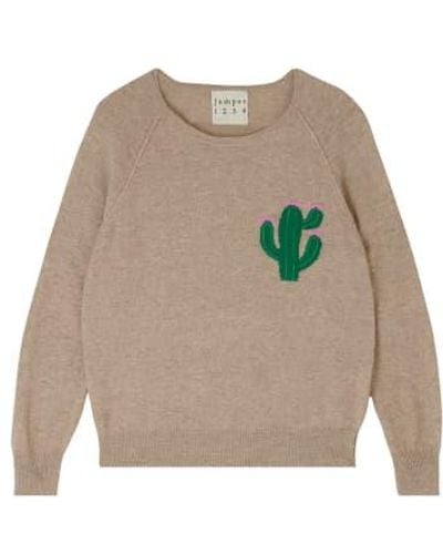 Jumper 1234 Little cactus cashmere sweater en marrón - Gris