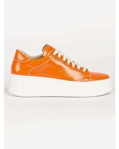 BUKELA Coco Sneakers 36 - Orange