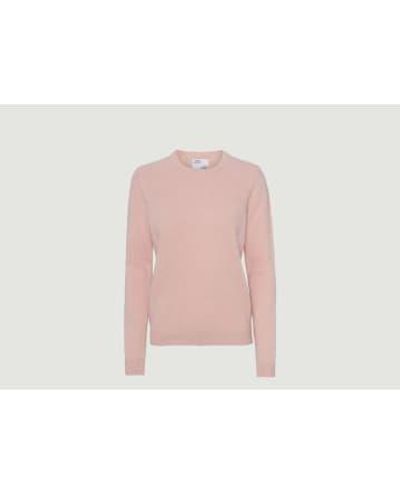 COLORFUL STANDARD Classic Recycled Merino Sweater - Rosa