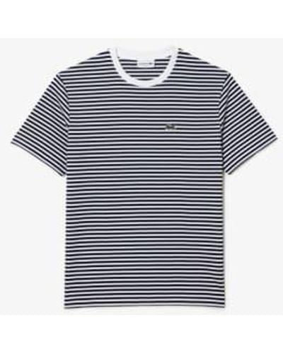 Lacoste And White Cotton Heavy Striped T Shirt - Blu