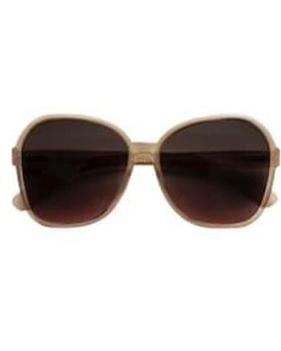 Have A Look Sunglasses - Brown