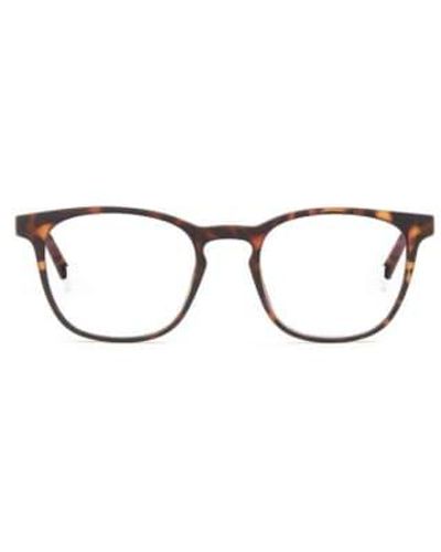 Barner Dalston Light Glasses Tortoise + 2.0 - Brown