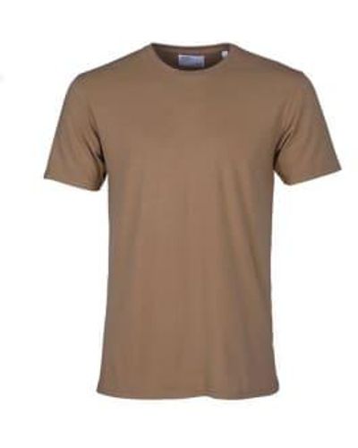COLORFUL STANDARD Camiseta clásica Sahara Camel - Marrón