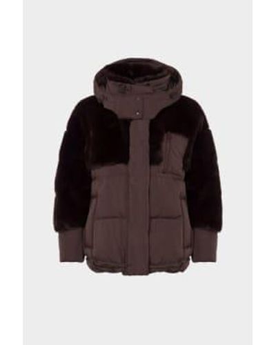 Urbancode Dark Oak Puffer Hooded Jacket - Black