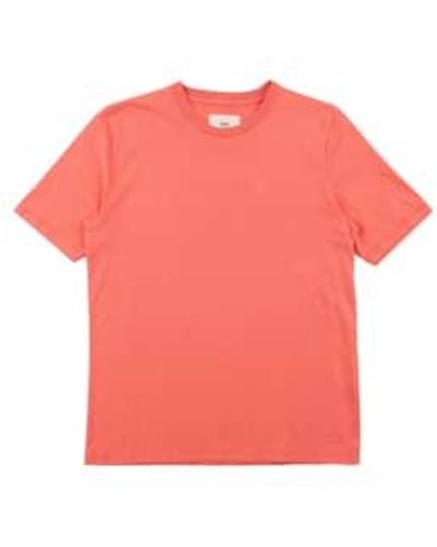 Folk Contrast Sleeve T-shirt - Pink