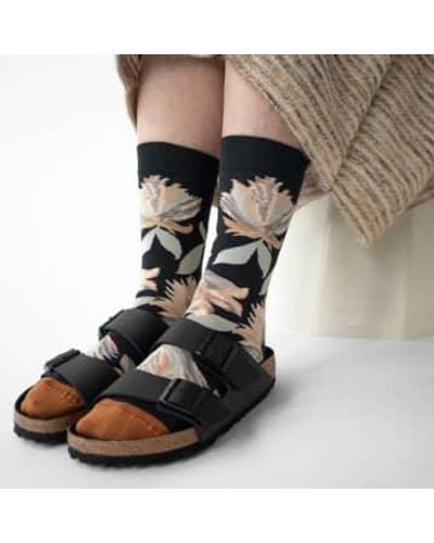 Bonne Maison Flower Socks Ng401 36-38 - Black