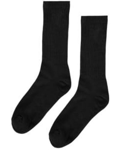 COLORFUL STANDARD Organic Active Sock Deep Black - Nero
