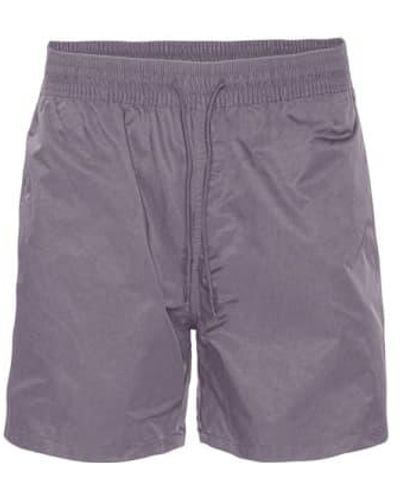 COLORFUL STANDARD Pantalones cortos natación clásicos color púrpura - Morado