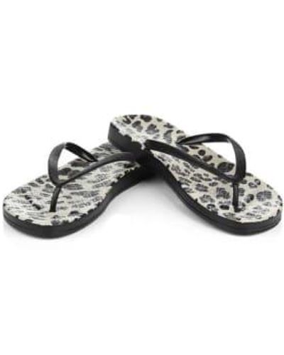 Ilse Jacobsen Chanclas leopardo negro - Gris