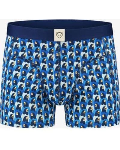 Adam Lippes Boxer briefs - Blau