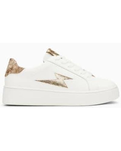 Vanessa Wu Joy And Gold Storm Lace Up Sneakers - Bianco