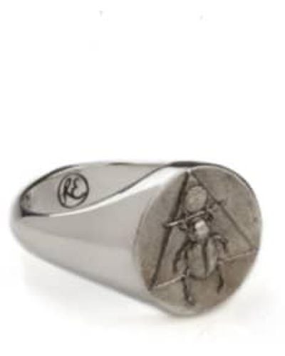 Rachel Entwistle The Scarab Signet Ring M / Silver - Gray