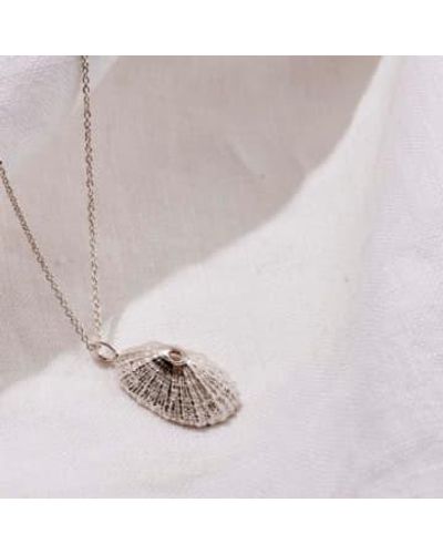 Posh Totty Designs Limpet Shell Necklace - Rosa
