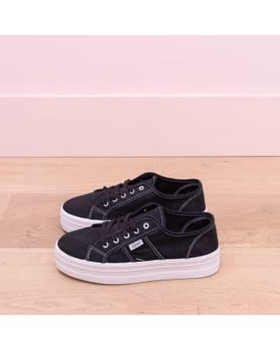 220V Sneaker noir - Rose