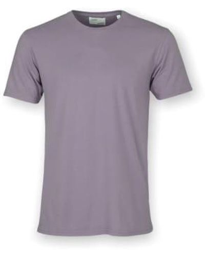 COLORFUL STANDARD T-shirt tee classique brume violet