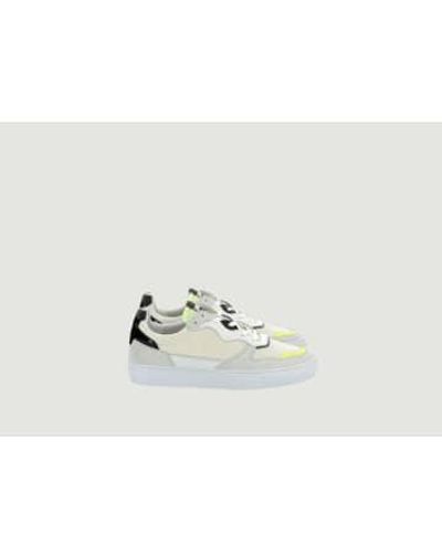 Piola Inti Low Sneakers - White