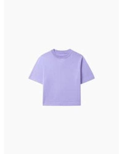Cordera Cotton T-shirt Cardo One Size - Purple