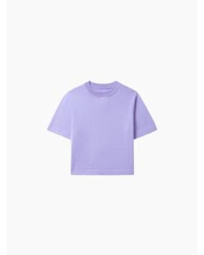 Cordera T-shirt en coton cardo - Violet