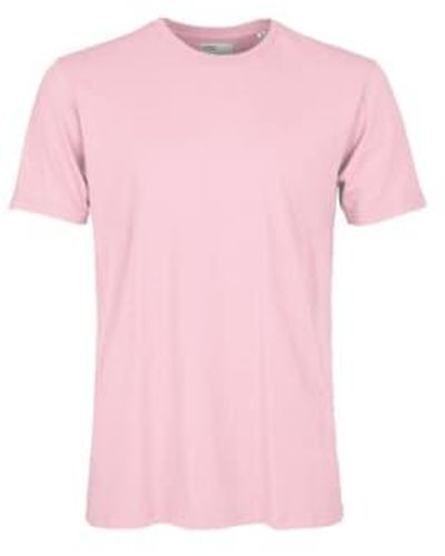 COLORFUL STANDARD T-shirt bio flamant rose
