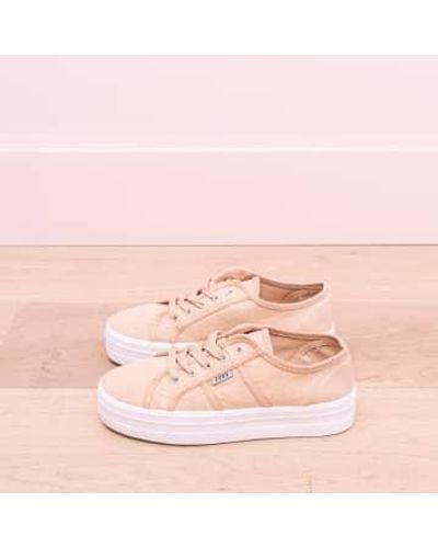 220V Sneaker - Pink