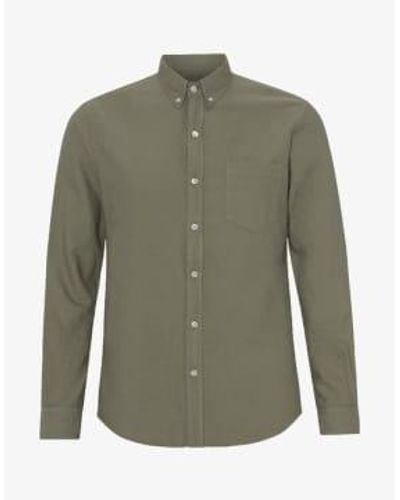 COLORFUL STANDARD Chemise Organic Button Down Dusty - Green