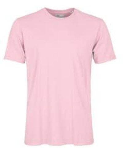 COLORFUL STANDARD Classic Tee Flamingo L - Pink