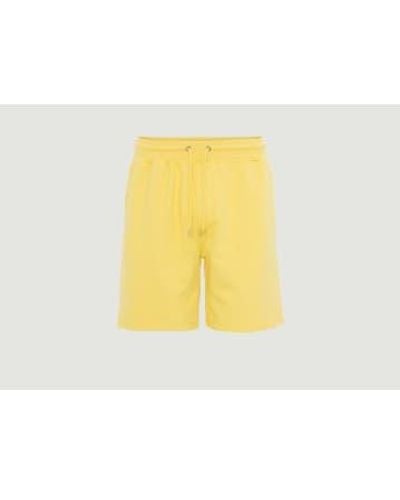 COLORFUL STANDARD Organic Cotton Classic Sports Shorts L - Yellow