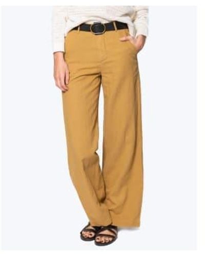HOD Pantalon Pacifie 25 - Yellow