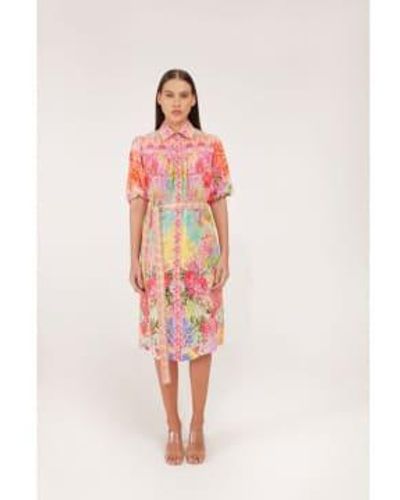 Inoa Pansy Siena Print Embellished Midi Dress Col: Bright Multi L - Pink