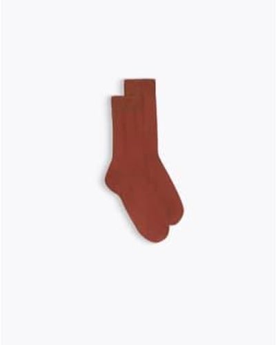 Homecore Chaussettes Thin Cotton Hot Sauce - Rosso