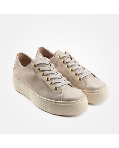Paul green hotsell trainers uk