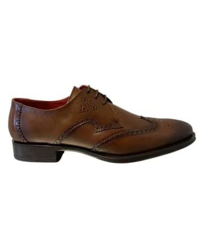 Jeffery West Toledo Brogues - Braun