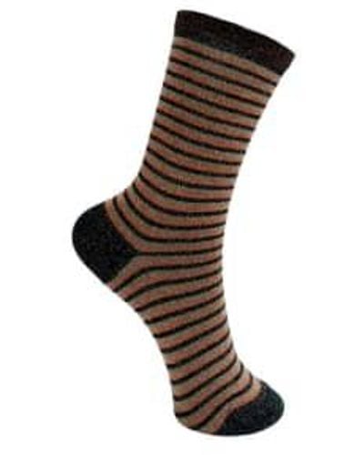 Black Colour Vibrant Striped Socks Coffee - Brown