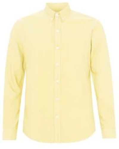 COLORFUL STANDARD Camisa oxford con botones orgánicos amarillo suave