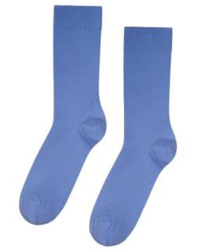 COLORFUL STANDARD Classic Organic Socks Sky / One Size - Blue