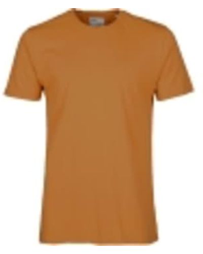 COLORFUL STANDARD Cs1001 classic bio-t-shirt ingwer - Braun