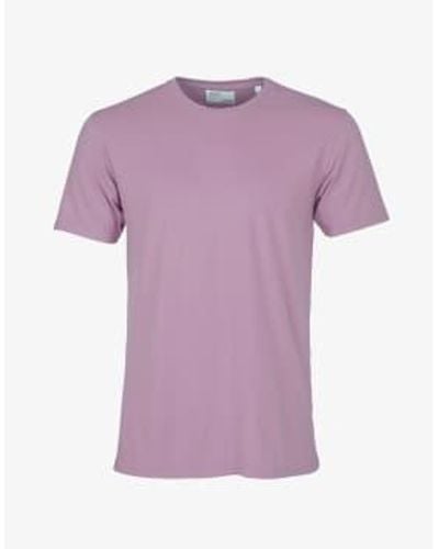 COLORFUL STANDARD T-shirt en coton biologique violet nacré