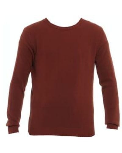 GALLIA Knit For Man Lm U7101 019 Cliff - Rosso