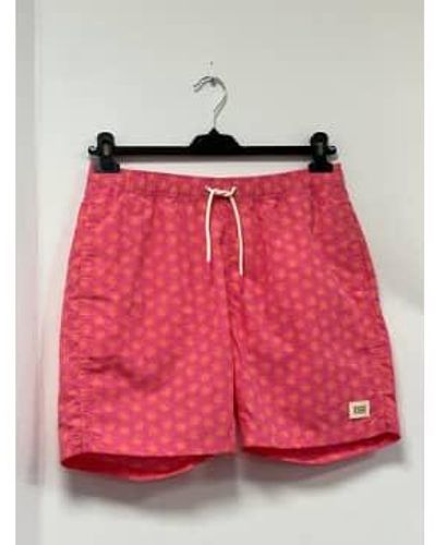 Scotch & Soda 172415 mini natación impresa en rosa - Rojo