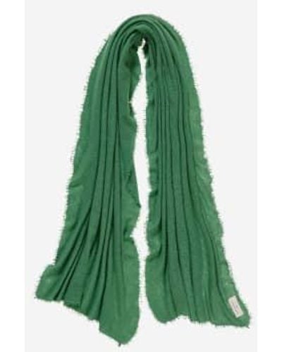 PUR SCHOEN Hand Felted Cashmere Soft Scarf Ivy / Efeau + Gift - Green