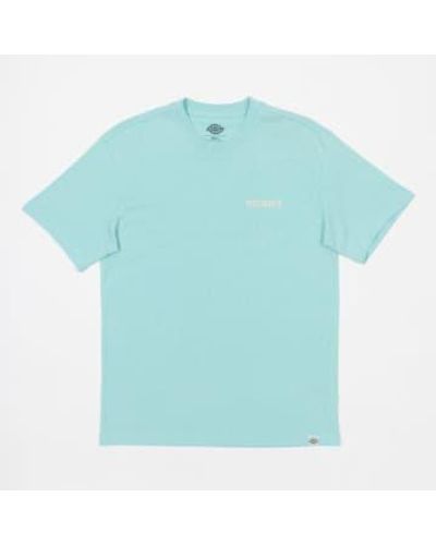 Dickies Hays grafisches t-shirt in pastellentürkis - Blau