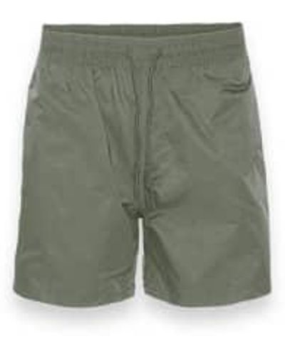 COLORFUL STANDARD Classic Swim Shorts Dusty Olive S - Green