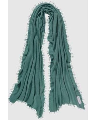 PUR SCHOEN Hand Felted 100% Cashmere Soft Scarf Sage + Gift - Green